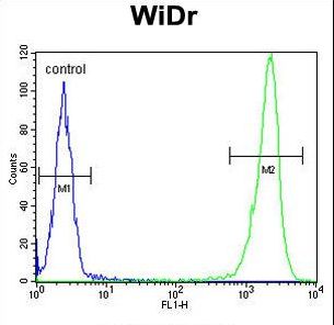 DEK Antibody - DEK Antibody flow cytometry of WiDr cells (right histogram) compared to a negative control cell (left histogram). FITC-conjugated goat-anti-rabbit secondary antibodies were used for the analysis.