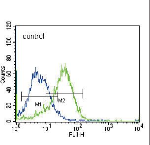 Delta-6 Desaturase / FADS2 Antibody - FADS2 Antibody flow cytometry of K562 cells (right histogram) compared to a negative control cell (left histogram). FITC-conjugated donkey-anti-rabbit secondary antibodies were used for the analysis.