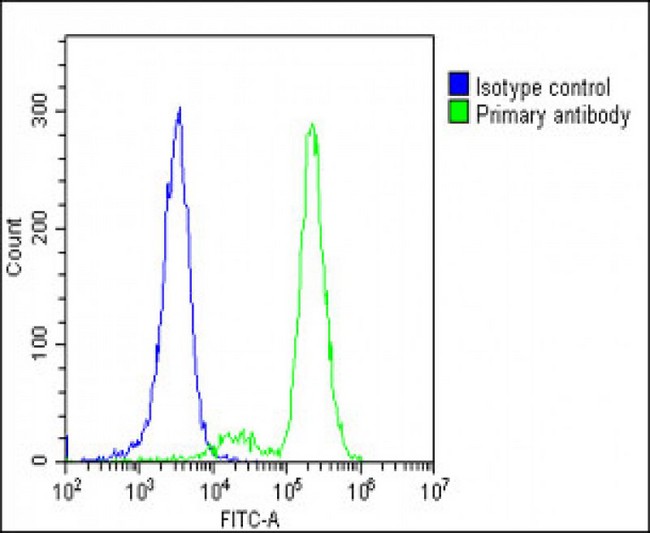 Delta-6 Desaturase / FADS2 Antibody - Overlay histogram showing K562 cells stained with FADS2 Antibody (green line). The cells were fixed with 2% paraformaldehyde (10 min) and then permeabilized with 90% methanol for 10 min. The cells were then icubated in 2% bovine serum albumin to block non-specific protein-protein interactions followed by the antibody (FADS2 Antibody, 1:25 dilution) for 60 min at 37°C. The secondary antibody used was Goat-Anti-Rabbit IgG, DyLight® 488 Conjugated Highly Cross-Adsorbed (1583138) at 1/200 dilution for 40 min at 37°C. Isotype control antibody (blue line) was rabbit IgG1 (1µg/1x10^6 cells) used under the same conditions. Acquisition of >10, 000 events was performed.