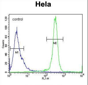 DENND5A Antibody - DEN5A Antibody flow cytometry of HeLa cells (right histogram) compared to a negative control cell (left histogram). FITC-conjugated goat-anti-rabbit secondary antibodies were used for the analysis.