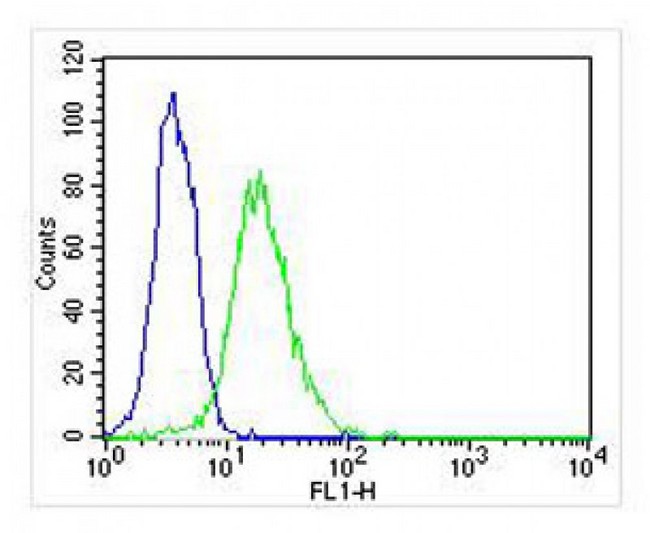 DENR / Density Regulated Antibody - Overlay histogram showing HeLa cells stained with antibody (green line). The cells were fixed with 2% paraformaldehyde (10 min) and then permeabilized with 90% methanol for 10 min. The cells were then incubated in 2% bovine serum albumin to block non-specific protein-protein interactions followed by the antibody (antibody, 1:25 dilution) for 60 min at 37°C. The secondary antibody used was Goat-Anti-Mouse IgG, DyLight 488 Conjugated Highly Cross-Adsorbed at 1:400 dilution for 40 min at 37 ° C. Isotype control antibody (blue line) was mouse IgG2b (1ug/1x10^6 cells) used under the same conditions. Acquisition of >10, 000 events was performed.