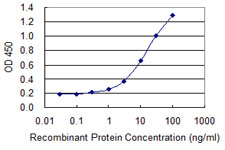 Dermatopontin / DPT Antibody - Detection limit for recombinant GST tagged DPT is 0.1 ng/ml as a capture antibody.