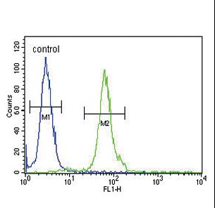 DFFB Antibody - DFFB Antibody flow cytometry of 293 cells (right histogram) compared to a negative control cell (left histogram). FITC-conjugated goat-anti-rabbit secondary antibodies were used for the analysis.