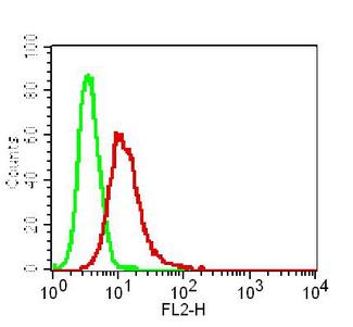 DFFB Antibody - Fig-3: Intracellular flow cytometry analysis of DFF-40 on HeLa cells using 0.5 µg/10^6 Cells of Anti-DFF-40 antibody. Green represent isotype control and red represent Anti DFF-40 antibody. Goat anti mouse PE conjugated was used as the secondary antibody.