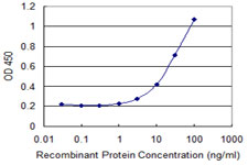 DGKA Antibody - Detection limit for recombinant GST tagged DGKA is 1 ng/ml as a capture antibody.