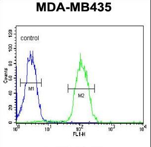 DHRS7 Antibody - DHRS7 Antibody flow cytometry of MDA-MB435 cells (right histogram) compared to a negative control cell (left histogram). FITC-conjugated goat-anti-rabbit secondary antibodies were used for the analysis.