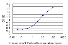 DHX8 Antibody - Detection limit for recombinant GST tagged DHX8 is approximately 0.3 ng/ml as a capture antibody.