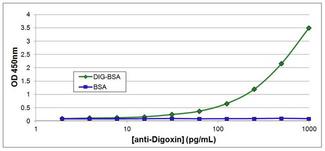 Digoxin Antibody - Indirect ELISA analysis of Digoxin was performed by preparing a 10 µg/mL solution of BSA or Digoxin-labeled BSA in 0.2M Carbonate-Bicarbonate, pH 9.4. 100uL of each solution was added to separate wells of a clear 96-well plate, and incubated overnight at 4C. Each well was blocked with SuperBlock in PBS. The plate was then washed with PBST and incubated with 100uL per well of Digoxin monoclonal antibody in triplicate at ~1000 - 2pg/mL for 1 hour at room temperature. The plate was washed with PBST and incubated with 100ul per well of goat anti-mouse IgG-HRP secondary antibody in all test wells at 1:25,000 for 30 minutes at room temperature. Detection was performed using 1-Step TMB Ultra substrate for 15 minutes at room temperature. The plate was then stopped with 0.2M sulfuric acid. Absorbances were read on a spectrophotometer at 450-550nm.