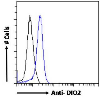 DIO2 Antibody - DIO2 antibody flow cytometric analysis of paraformaldehyde fixed MCF7 cells (blue line), permeabilized with 0.5% Triton. Primary incubation 1hr (10ug/ml) followed by Alexa Fluor 488 secondary antibody (1ug/ml). IgG control: Unimmunized goat IgG (black line) followed by Alexa Fluor 488 secondary antibody.