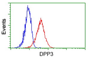 Dipeptidyl Peptidase 3 / DPP3 Antibody - Flow cytometry of Jurkat cells, using anti-DPP3 antibody (Red), compared to a nonspecific negative control antibody (Blue).