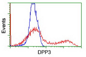Dipeptidyl Peptidase 3 / DPP3 Antibody - HEK293T cells transfected with either overexpress plasmid (Red) or empty vector control plasmid (Blue) were immunostained by anti-DPP3 antibody, and then analyzed by flow cytometry.
