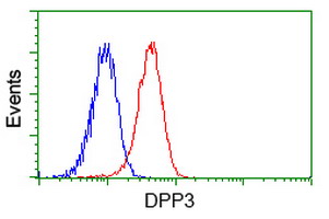 Dipeptidyl Peptidase 3 / DPP3 Antibody - Flow cytometry of Jurkat cells, using anti-DPP3 antibody (Red), compared to a nonspecific negative control antibody (Blue).