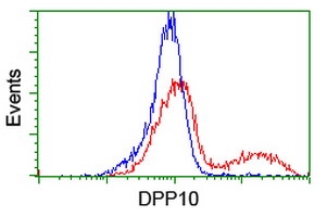 Dipeptidylpeptidase 10 / DPP10 Antibody - HEK293T cells transfected with either overexpress plasmid (Red) or empty vector control plasmid (Blue) were immunostained by anti-DPP10 antibody, and then analyzed by flow cytometry.