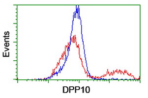 Dipeptidylpeptidase 10 / DPP10 Antibody - HEK293T cells transfected with either overexpress plasmid (Red) or empty vector control plasmid (Blue) were immunostained by anti-DPP10 antibody, and then analyzed by flow cytometry.