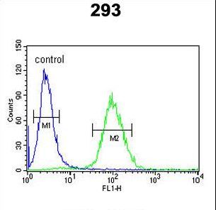 Dipeptidylpeptidase 8 / DPP8 Antibody - DPP8 Antibody flow cytometry of 293 cells (right histogram) compared to a negative control cell (left histogram). FITC-conjugated goat-anti-rabbit secondary antibodies were used for the analysis.