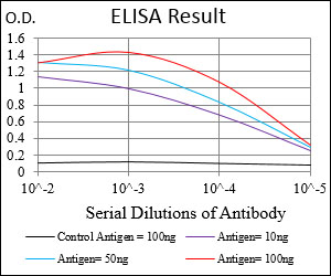 DIS3L2 Antibody - Red: Control Antigen (100ng); Purple: Antigen (10ng); Green: Antigen (50ng); Blue: Antigen (100ng);
