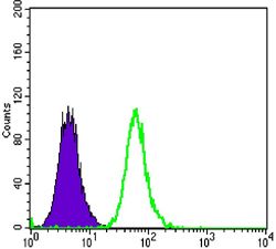 DKK3 Antibody - DKK3 Antibody in Flow Cytometry (Flow)