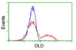 DLD / Diaphorase / E3 Antibody - HEK293T cells transfected with either overexpress plasmid (Red) or empty vector control plasmid (Blue) were immunostained by anti-DLD antibody, and then analyzed by flow cytometry.