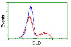 DLD / Diaphorase / E3 Antibody - HEK293T cells transfected with either overexpress plasmid (Red) or empty vector control plasmid (Blue) were immunostained by anti-DLD antibody, and then analyzed by flow cytometry.