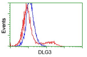 DLG3 / SAP102 Antibody - HEK293T cells transfected with either overexpress plasmid (Red) or empty vector control plasmid (Blue) were immunostained by anti-DLG3 antibody, and then analyzed by flow cytometry.