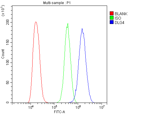 DLG4 / PSD95 Antibody - Flow Cytometry analysis of A431 cells using anti-PSD95 antibody. Overlay histogram showing A431 cells stained with anti-PSD95 antibody (Blue line). The cells were blocked with 10% normal goat serum. And then incubated with rabbit anti-PSD95 Antibody (1µg/10E6 cells) for 30 min at 20°C. DyLight®488 conjugated goat anti-rabbit IgG (5-10µg/10E6 cells) was used as secondary antibody for 30 minutes at 20°C. Isotype control antibody (Green line) was rabbit IgG (1µg/10E6 cells) used under the same conditions. Unlabelled sample (Red line) was also used as a control.