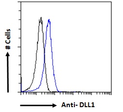 DLL1 Antibody - DLL1 antibody flow cytometric analysis of paraformaldehyde fixed HeLa cells (blue line), permeabilized with 0.5% Triton. Primary incubation 1hr (10ug/ml) followed by Alexa Fluor 488 secondary antibody (1ug/ml). IgG control: Unimmunized goat IgG (black line) followed by Alexa Fluor 488 secondary antibody.