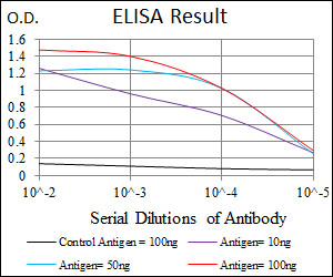 DLL4 Antibody - Red: Control Antigen (100ng); Purple: Antigen (10ng); Green: Antigen (50ng); Blue: Antigen (100ng);