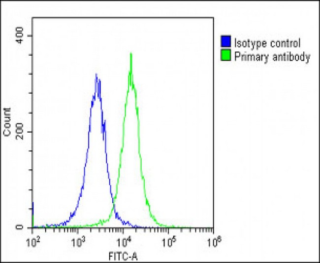 DLX1 Antibody - Overlay histogram showing HeLa cells stained with DLX1 Antibody (Center) (green line). The cells were fixed with 2% paraformaldehyde (10 min) and then permeabilized with 90% methanol for 10 min. The cells were then icubated in 2% bovine serum albumin to block non-specific protein-protein interactions followed by the antibody (DLX1 Antibody (Center), 1:25 dilution) for 60 min at 37°C. The secondary antibody used was Goat-Anti-Rabbit IgG, DyLight® 488 Conjugated Highly Cross-Adsorbed (OE188374) at 1/200 dilution for 40 min at 37°C. Isotype control antibody (blue line) was rabbit IgG1 (1µg/1x10^6 cells) used under the same conditions. Acquisition of >10, 000 events was performed.