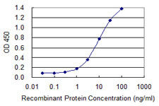 DLX6 Antibody - Detection limit for recombinant GST tagged DLX6 is 0.3 ng/ml as a capture antibody.