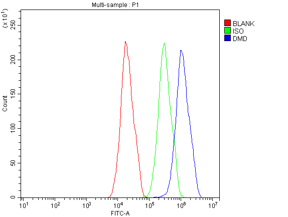 DMD / Dystrophin Antibody - Flow Cytometry analysis of HepG2 cells using anti-Dystrophin antibody. Overlay histogram showing HepG2 cells stained with anti-Dystrophin antibody (Blue line). The cells were blocked with 10% normal goat serum. And then incubated with rabbit anti-Dystrophin Antibody (1µg/10E6 cells) for 30 min at 20°C. DyLight®488 conjugated goat anti-rabbit IgG (5-10µg/10E6 cells) was used as secondary antibody for 30 minutes at 20°C. Isotype control antibody (Green line) was rabbit IgG (1µg/10E6 cells) used under the same conditions. Unlabelled sample (Red line) was also used as a control.