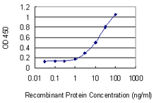 DMD / Dystrophin Antibody - Detection limit for recombinant GST tagged DMD is 0.3 ng/ml as a capture antibody.
