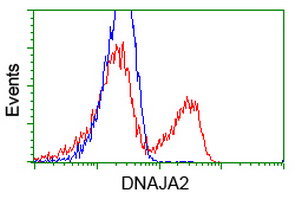 DNAJA2 Antibody - HEK293T cells transfected with either overexpress plasmid (Red) or empty vector control plasmid (Blue) were immunostained by anti-DNAJA2 antibody, and then analyzed by flow cytometry.