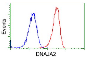 DNAJA2 Antibody - Flow cytometry of HeLa cells, using anti-DNAJA2 antibody (Red), compared to a nonspecific negative control antibody(TA50011), (Blue).