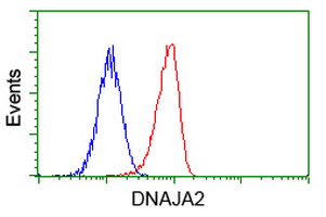 DNAJA2 Antibody - Flow cytometry of Jurkat cells, using anti-DNAJA2 antibody (Red), compared to a nonspecific negative control antibody(TA50011), (Blue).