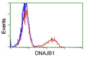 DNAJB1 / Hsp40 Antibody - HEK293T cells transfected with either overexpress plasmid (Red) or empty vector control plasmid (Blue) were immunostained by anti-DNAJB1 antibody, and then analyzed by flow cytometry.