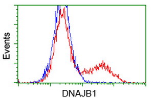 DNAJB1 / Hsp40 Antibody - HEK293T cells transfected with either overexpress plasmid (Red) or empty vector control plasmid (Blue) were immunostained by anti-DNAJB1 antibody, and then analyzed by flow cytometry.