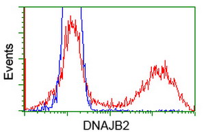 DNAJB2 Antibody - HEK293T cells transfected with either overexpress plasmid (Red) or empty vector control plasmid (Blue) were immunostained by anti-DNAJB2 antibody, and then analyzed by flow cytometry.