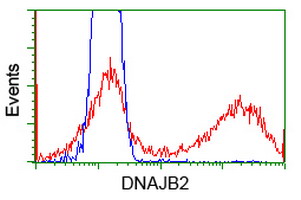 DNAJB2 Antibody - HEK293T cells transfected with either overexpress plasmid (Red) or empty vector control plasmid (Blue) were immunostained by anti-DNAJB2 antibody, and then analyzed by flow cytometry.
