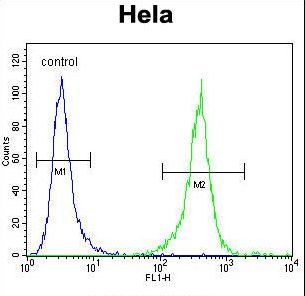 DNAJB6 Antibody - DNAJB6 Antibody flow cytometry of HeLa cells (right histogram) compared to a negative control cell (left histogram). FITC-conjugated goat-anti-rabbit secondary antibodies were used for the analysis.