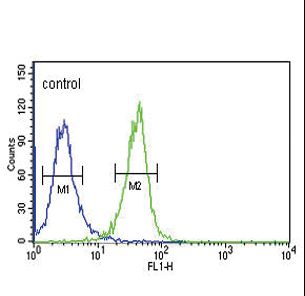 DNAJC6 Antibody - DNAJC6 Antibody flow cytometry of K562 cells (right histogram) compared to a negative control cell (left histogram). FITC-conjugated goat-anti-rabbit secondary antibodies were used for the analysis.