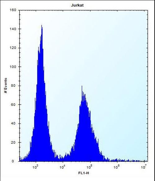 DNAJC9 Antibody - DNAJC9 Antibody flow cytometry of Jurkat cells (right histogram) compared to a negative control cell (left histogram). FITC-conjugated donkey-anti-rabbit secondary antibodies were used for the analysis.