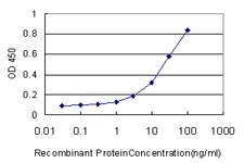 DNASE1L1 Antibody - Detection limit for recombinant GST tagged DNASE1L1 is approximately 0.3 ng/ml as a capture antibody.
