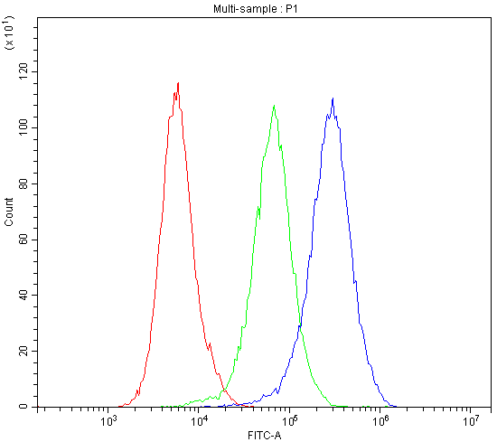 DNM1 / Dynamin Antibody - Flow Cytometry analysis of U251 cells using anti-Dynamin 1 antibody. Overlay histogram showing U251 cells stained with anti-Dynamin 1 antibody (Blue line). The cells were blocked with 10% normal goat serum. And then incubated with rabbit anti-Dynamin 1 Antibody (1µg/10E6 cells) for 30 min at 20°C. DyLight®488 conjugated goat anti-rabbit IgG (5-10µg/10E6 cells) was used as secondary antibody for 30 minutes at 20°C. Isotype control antibody (Green line) was rabbit IgG (1µg/10E6 cells) used under the same conditions. Unlabelled sample (Red line) was also used as a control.