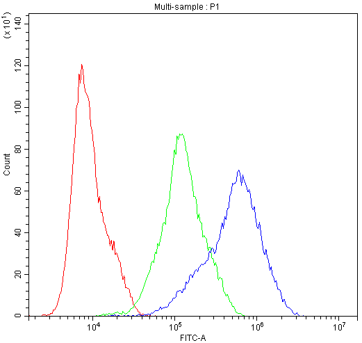 DNM1 / Dynamin Antibody - Flow Cytometry analysis of A549 cells using anti-Dynamin 1 antibody. Overlay histogram showing A549 cells stained with anti-Dynamin 1 antibody (Blue line). The cells were blocked with 10% normal goat serum. And then incubated with rabbit anti-Dynamin 1 Antibody (1µg/10E6 cells) for 30 min at 20°C. DyLight®488 conjugated goat anti-rabbit IgG (5-10µg/10E6 cells) was used as secondary antibody for 30 minutes at 20°C. Isotype control antibody (Green line) was rabbit IgG (1µg/10E6 cells) used under the same conditions. Unlabelled sample (Red line) was also used as a control.
