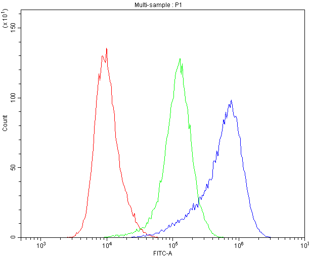 DNM1 / Dynamin Antibody - Flow Cytometry analysis of U20S cells using anti-Dynamin 1 antibody. Overlay histogram showing U20S cells stained with anti-Dynamin 1 antibody (Blue line). The cells were blocked with 10% normal goat serum. And then incubated with rabbit anti-DNM1 Antibody (1µg/10E6 cells) for 30 min at 20°C. DyLight®488 conjugated goat anti-rabbit IgG (5-10µg/10E6 cells) was used as secondary antibody for 30 minutes at 20°C. Isotype control antibody (Green line) was rabbit IgG (1µg/10E6 cells) used under the same conditions. Unlabelled sample (Red line) was also used as a control.
