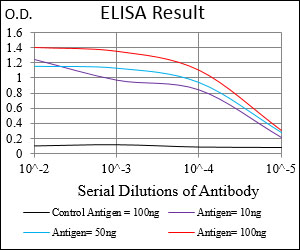 DNM1L / DRP1 Antibody - Red: Control Antigen (100ng); Purple: Antigen (10ng); Green: Antigen (50ng); Blue: Antigen (100ng);
