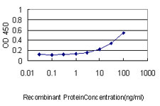 DNM1L / DRP1 Antibody - Detection limit for recombinant GST tagged DNM1L is approximately 0.3 ng/ml as a capture antibody.