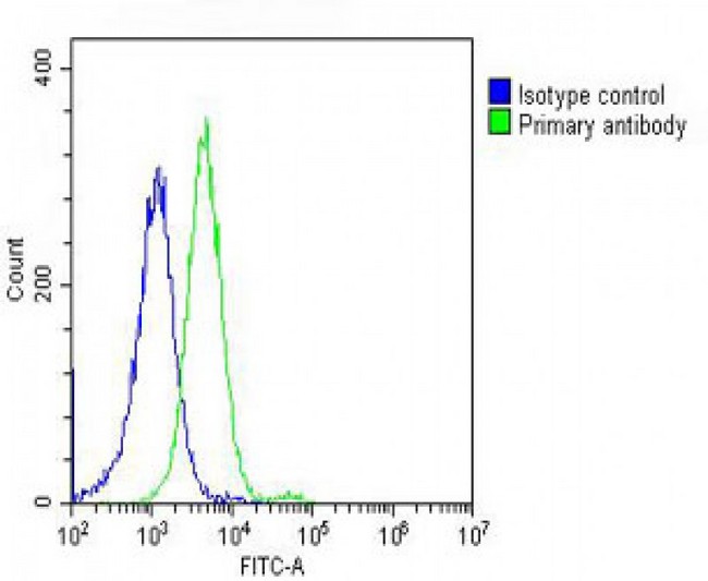 DNM2 / Dynamin-2 Antibody - Overlay histogram showing Hela cells stained with DNM2 Antibody (N-Term) (green line). The cells were fixed with 2% paraformaldehyde (10 min) and then permeabilized with 90% methanol for 10 min. The cells were then icubated in 2% bovine serum albumin to block non-specific protein-protein interactions followed by the antibody (DNM2 Antibody (N-Term), 1:25 dilution) for 60 min at 37°C. The secondary antibody used was Goat-Anti-Rabbit IgG, DyLight® 488 Conjugated Highly Cross-Adsorbed at 1/200 dilution for 40 min at 37°C. Isotype control antibody (blue line) was rabbit IgG (1µg/1x10^6 cells) used under the same conditions. Acquisition of >10, 000 events was performed.