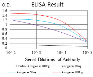 DNMT / DNMT1 Antibody - Red: Control Antigen (100ng); Purple: Antigen (10ng); Green: Antigen (50ng); Blue: Antigen (100ng);