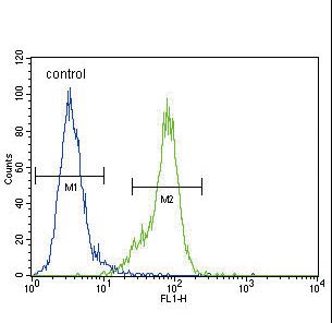 DNMT / DNMT1 Antibody - Dnmt1 Antibody (C-term S1602) flow cytometry of MDA-MB435 cells (right histogram) compared to a negative control cell (left histogram). FITC-conjugated goat-anti-rabbit secondary antibodies were used for the analysis.